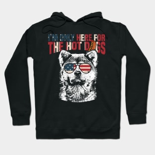 Akita Shirt Funny 4th of July Hoodie